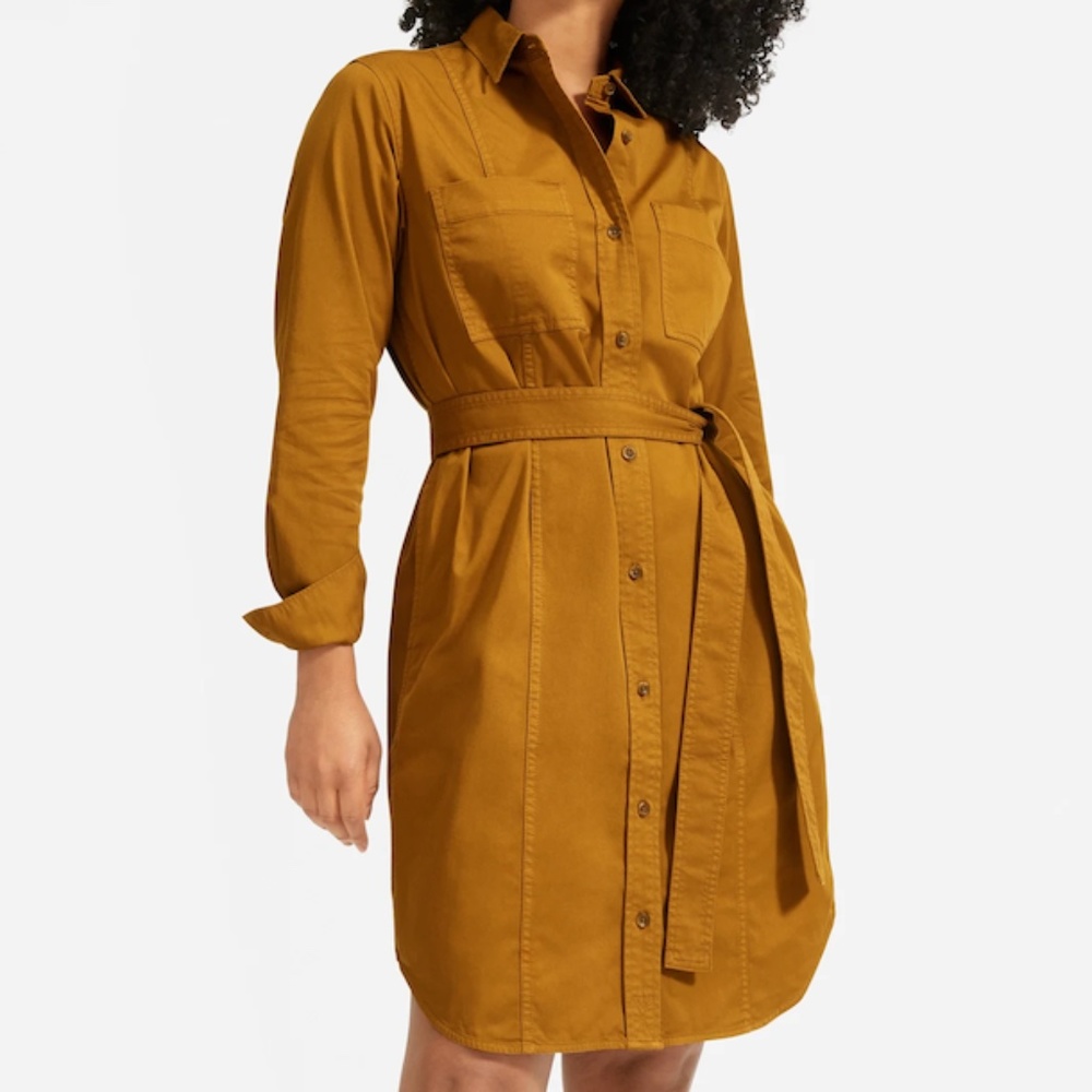 Everlane Belted Utility Shirtdress sz6 NWT